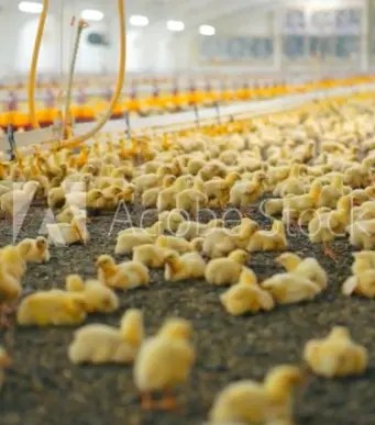 Generative Ai Gone Wrong For B2b Content Development - Best Mountain Textures in Ultra HD